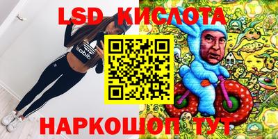 крисы Моздок