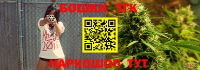 крисы Моздок