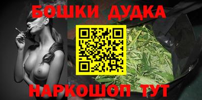 крисы Моздок