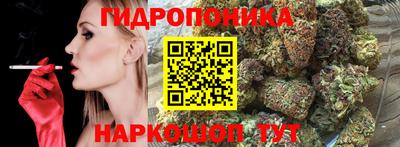 крисы Моздок